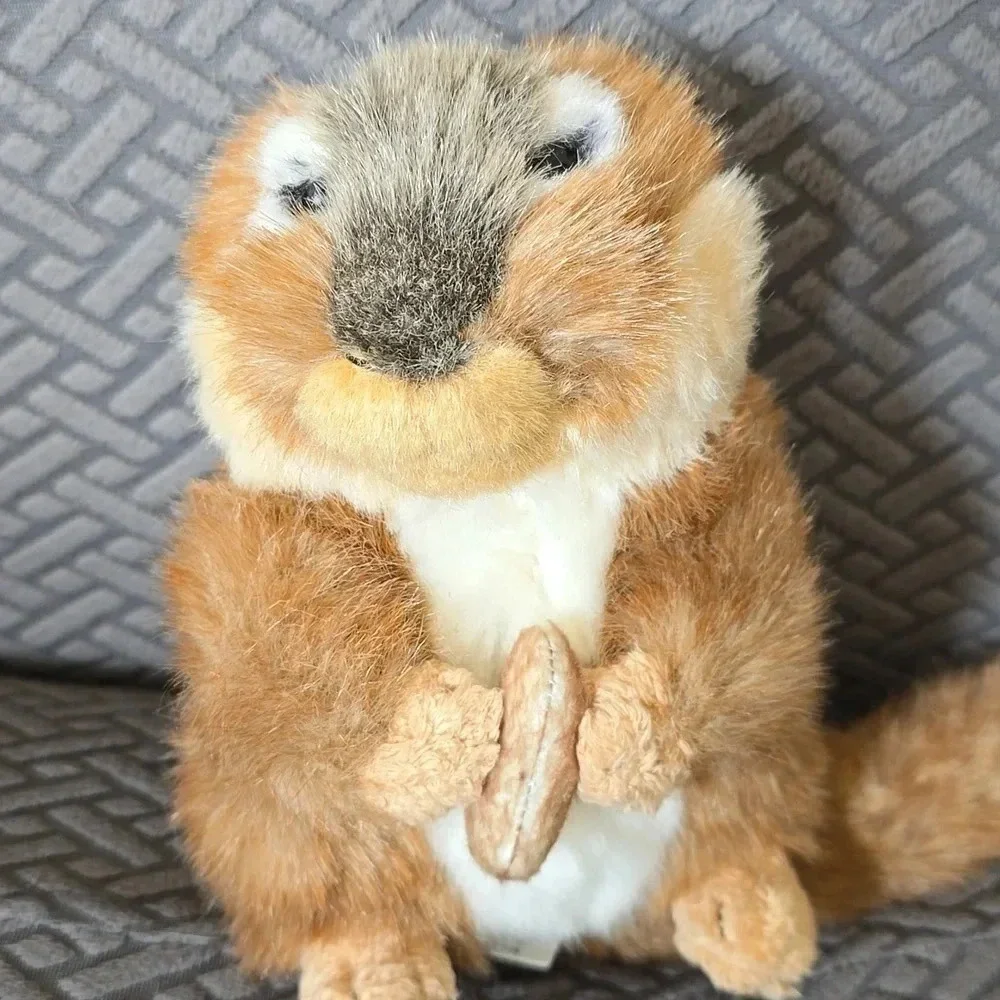 HP! 🎊 Squirrel Plushie NWOT - Picture 2 of 5
